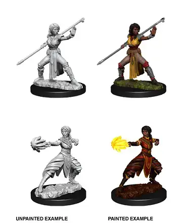 Favorit | Half-Elf Female Monk