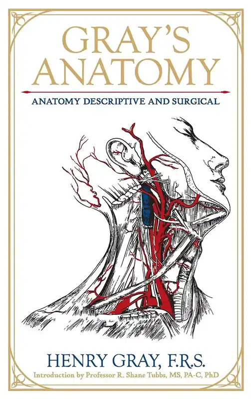 Hög kvalitet | Gray‘s Anatomy