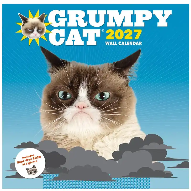 Väl omtyckt - Grumpy Cat Wall Calendar 2027