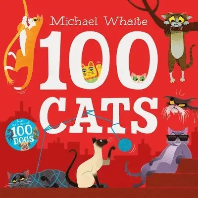 Outlet | 100 Cats
