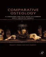 Populärt just nu - Comparative Osteology