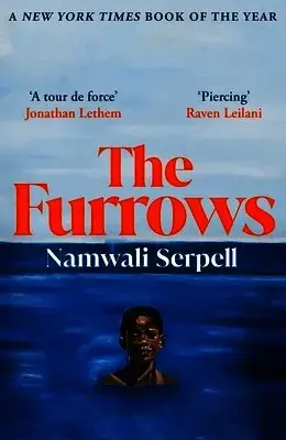 Passa på nu - Furrows