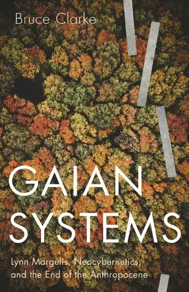 Säker betalning | Gaian Systems