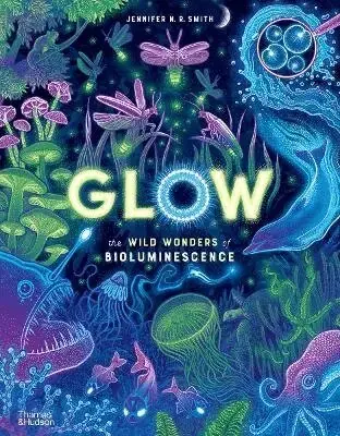 Väl omtyckt - Glow
