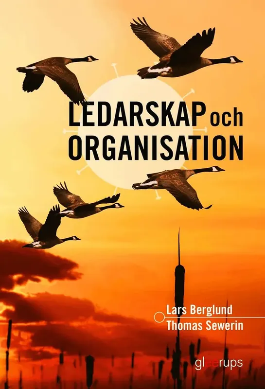 Lågt pris | Ledarskap och organisation, elevbok,