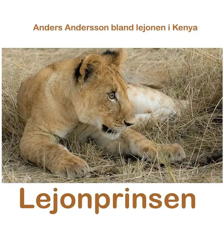Toppsäljare - Lejonprinsen