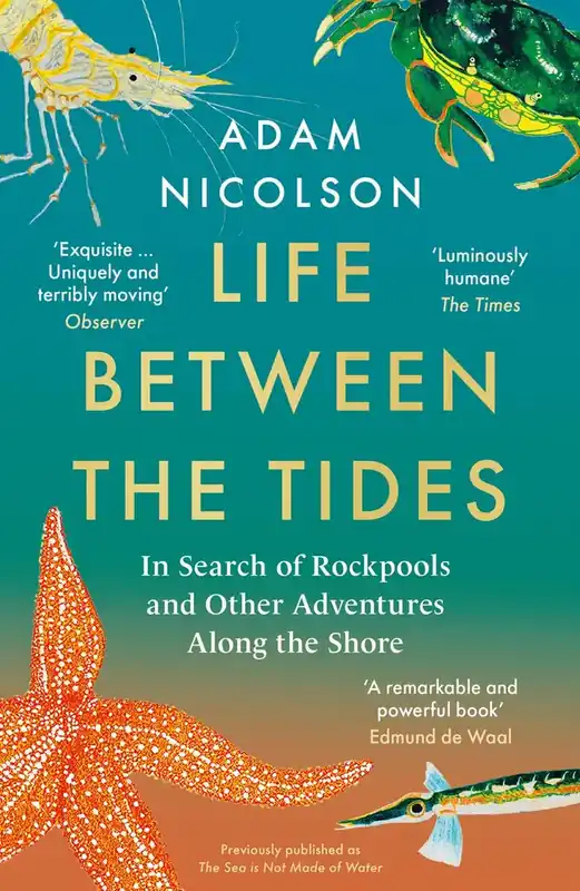 Precis inkommet | Life Between the Tides