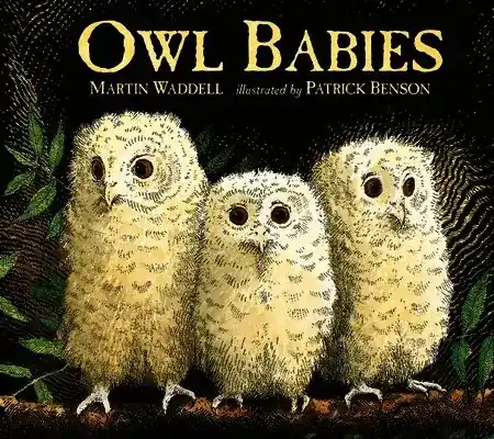Bästa pris | Owl Babies