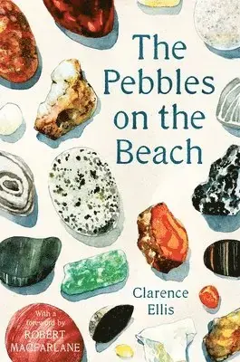Pebbles on the Beach - Rea