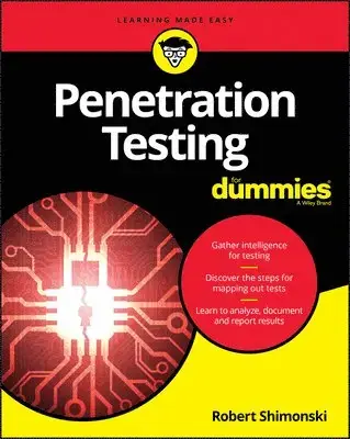 Penetration Testing For Dummies - Rabatter