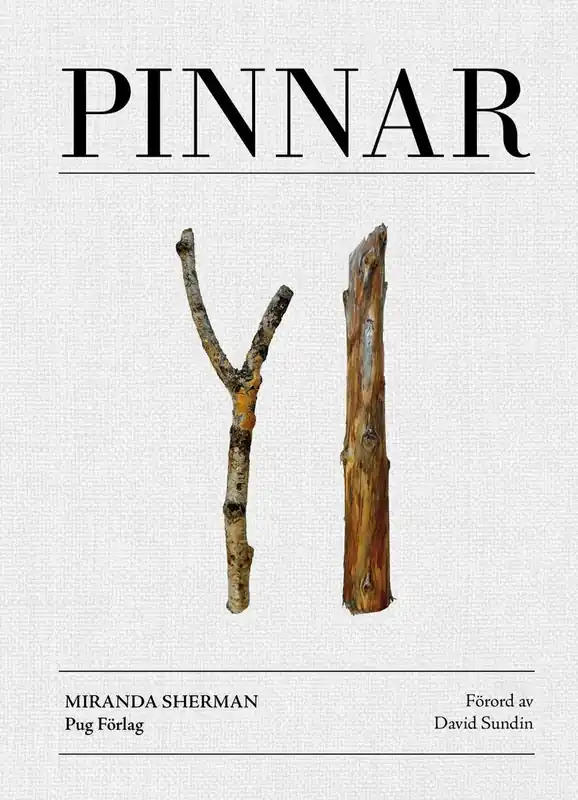 Pinnar - Dagens deal